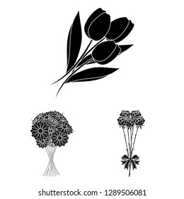 Vector illustration of spring and wreath logo. Set of spring and blossom stock vector illustration.