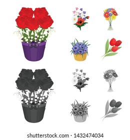 Vector illustration of spring and wreath logo. Set of spring and blossom stock symbol for web.