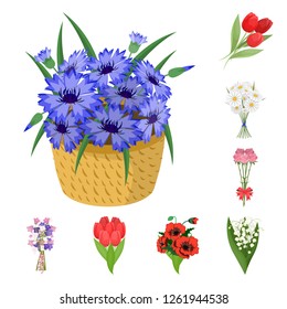 Vector illustration of spring and wreath symbol. Collection of spring and blossom stock symbol for web.