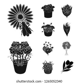 Vector illustration of spring and wreath symbol. Collection of spring and blossom stock vector illustration.