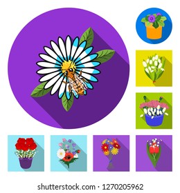 Vector illustration of spring and wreath symbol. Collection of spring and blossom stock symbol for web.
