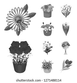 Vector illustration of spring and wreath symbol. Collection of spring and blossom vector icon for stock.
