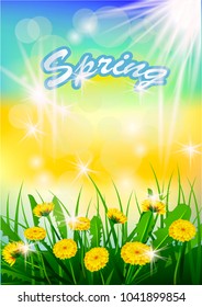 Vector illustration  Springtime on background with spring flowers. Dandelions.