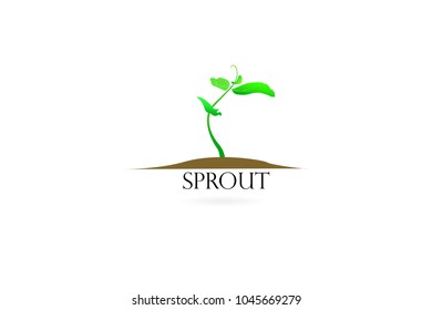 Vector illustration of sprout. Sprout