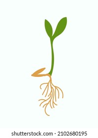 Ilustración vectorial de un brote. Ilustración botánica
