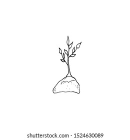 Vector illustration of a sprout of a tree drawn in sketch style. Suitable for all types of design.