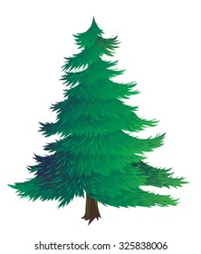Vector illustration of spruce tree