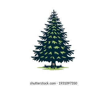 Vector illustration of a spruce tree. Color version.