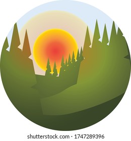Vector illustration of spruce tree on sunset background.