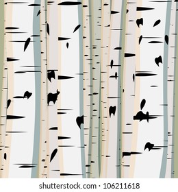 Vector illustration of square background with a lot of trunks of birches.