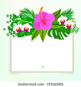 Vector illustration of square card with tropical elements of decor, framed by palm and banana leaves, big monstera plant, orchid flowers and pink hibiscus on sun lighted green background