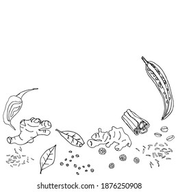 Vector illustration of a square format. Spice. For menus, restaurants, chefs, postcards, printing. Cinnamon sticks, bay leaf, peppercorns, chili peppers, ginger. Lineart on a white background. Banner.