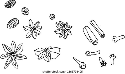 Vector illustration of a square format. Spices. For menus, coffee houses, postcards, print. Cinnamon sticks, star anise, cloves. Lineart on a white background. Banner.