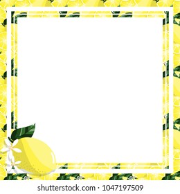 Vector illustration of square white frame and rectangle label on citrus lemon background. Tropical fresh and juicy yellow lime closely spaced background and flower in flat design.