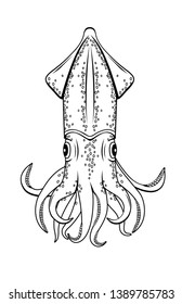 Vector illustration of a squid in black and white graphic style