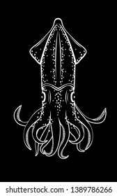 Vector illustration of a squid in black and white chalk style