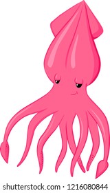 
vector illustration, squid, marine inhabitant
