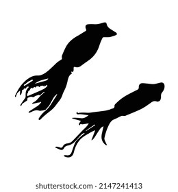Vector illustration of squid silhouette