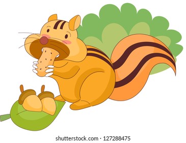 A vector illustration of squirrel