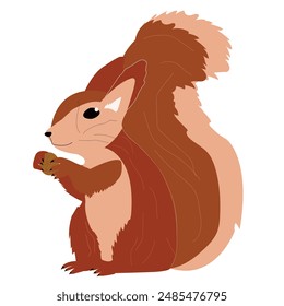 Vector illustration of squirrel holding a walnut