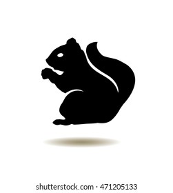 vector illustration of a squirrel icon