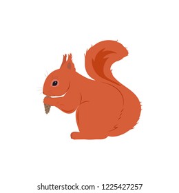 Vector illustration of a squirrel on a white isolated background. Template for new year card design, poster, web design.