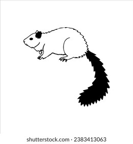 vector illustration of squirrel outline