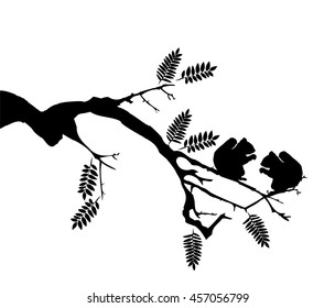 vector illustration of squirrels in the tree