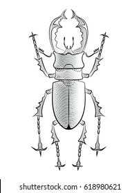 vector illustration. A stag beetle, etching, hatching