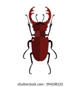 Vector illustration of a stag beetle. Isolated on a white background.