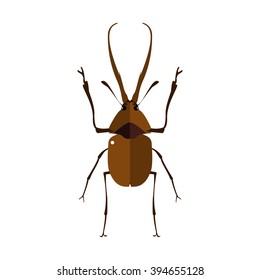 Vector illustration of a stag beetle. Isolated on a white background.