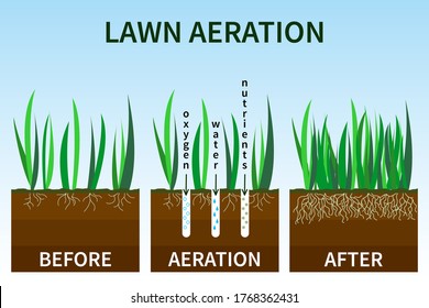 Vector illustration of stages lawn aeration. Before and after steps. Concept of lawn grass care, gardening service, benefits of aeration. Water, air and fertilizer having easy access to soil