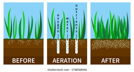 Grass Roots Images Stock Photos Vectors Shutterstock