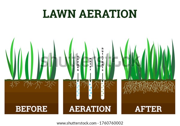 Vector Illustration Stages Lawn Aeration Before Stock Vector (Royalty ...