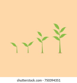 vector illustration stages of plant growth, green spout with leaf, small tree,flat design, set vector illustration of shoots tree with leaf leaf