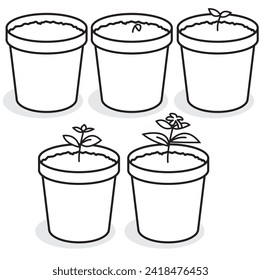 vector illustration of stages of a potted plant growing from seed to plant for infographic