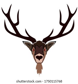 Ilustración vectorial de la cabeza de un estag con cuernos largos y muy hermosos