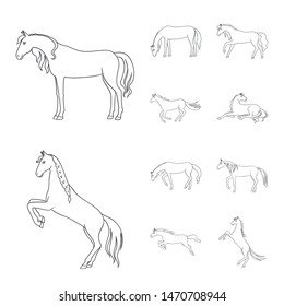 Vector illustration of stallion and galloping sign. Set of stallion and riding vector icon for stock.
