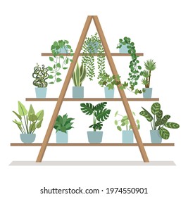 Vector illustration of a stand with houseplants