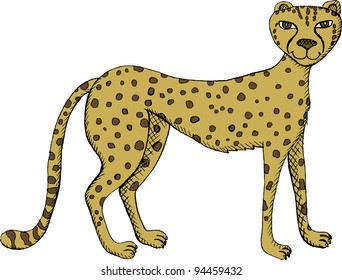 Vector Illustration Standing Cheetah Stock Vector (Royalty Free ...