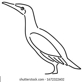 Vector illustration of a standing cormorant