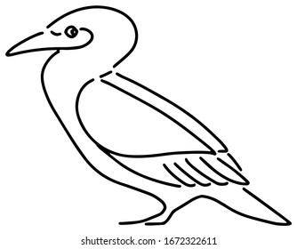 Vector illustration of a standing cormorant