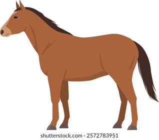 Vector illustration of a standing horse