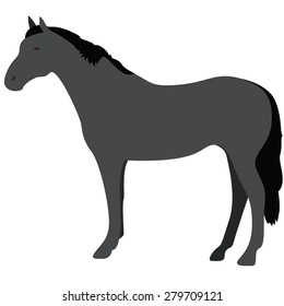 vector illustration of standing horse