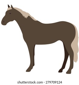 vector illustration of standing horse