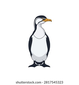 Vector illustration of a standing imperial shag or penguin bird isolated on a white background