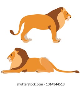 Vector illustration of standing and lying lions isolated on white background