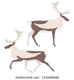 Vector illustration of standing and running caribou isolated on white background