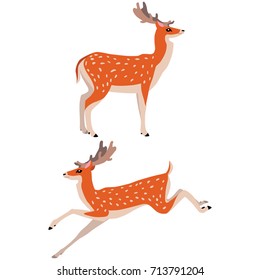 Vector illustration of standing and running deer isolated on white background