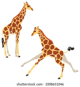 Vector illustration of standing and running giraffes isolated on white background